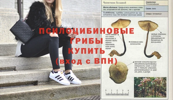 мдма Киренск