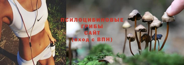 винт Козловка