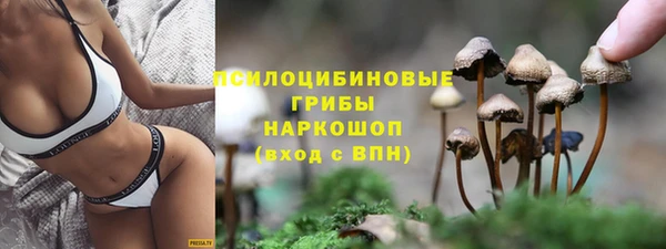 ALPHA-PVP Краснослободск
