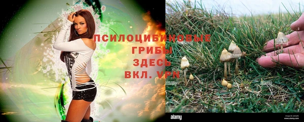 таблы Кукмор