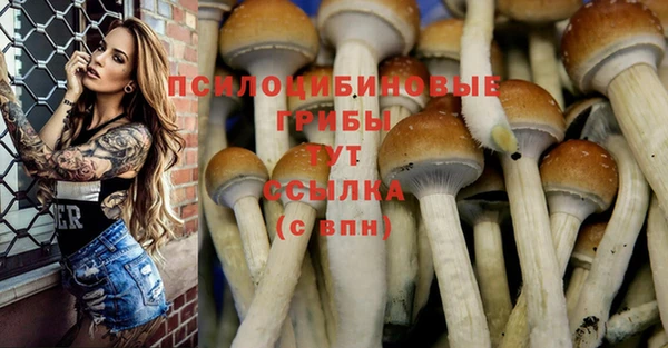 MDMA Козельск