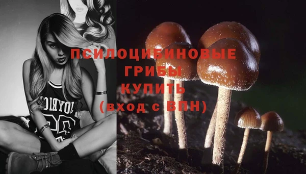 MDMA Козельск
