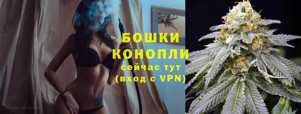 гидра Тихвин