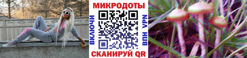 Галлюциногенные грибы мухоморы  Купить закладки  Гремячинск 